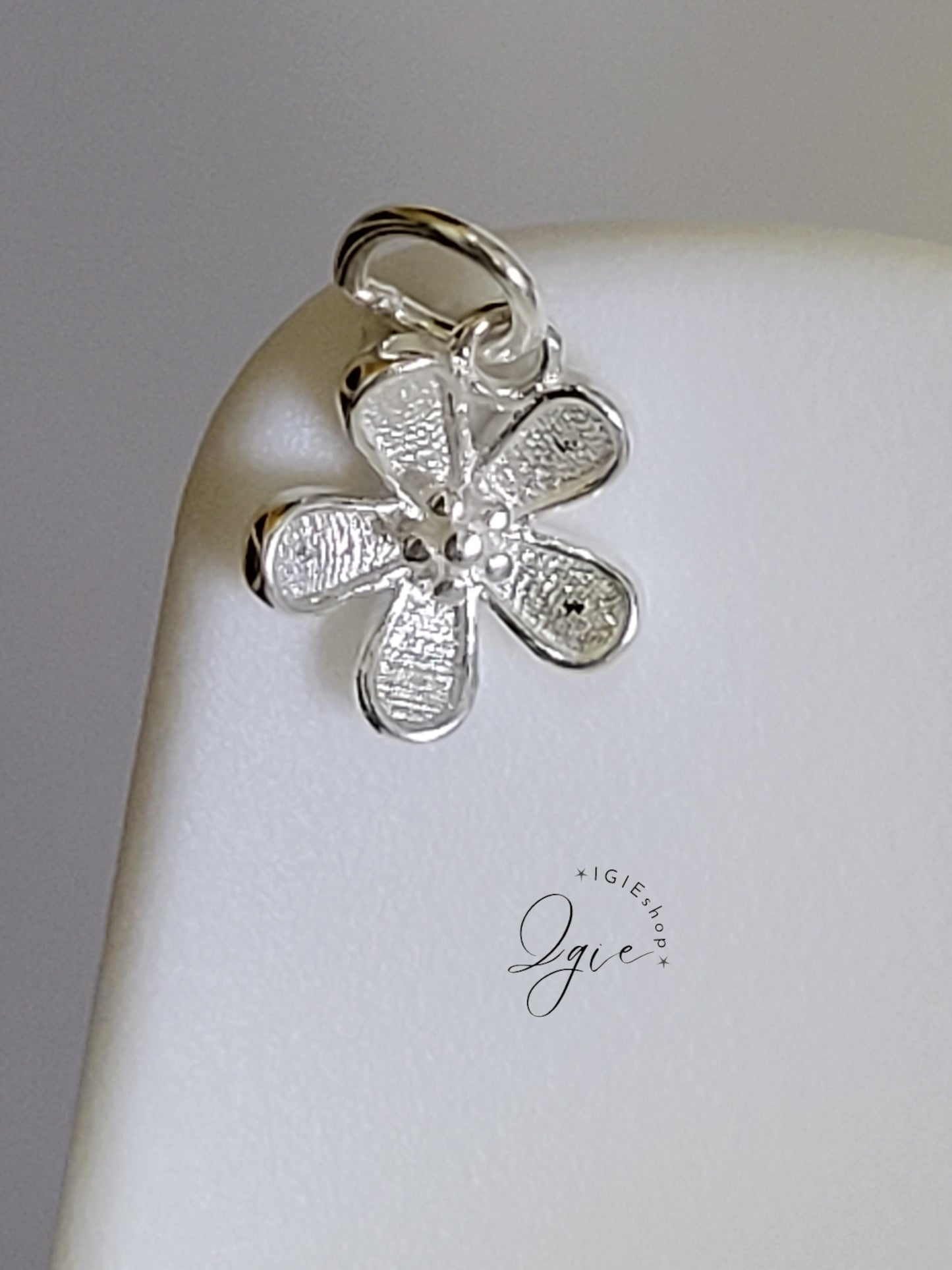 Silver necklace charm