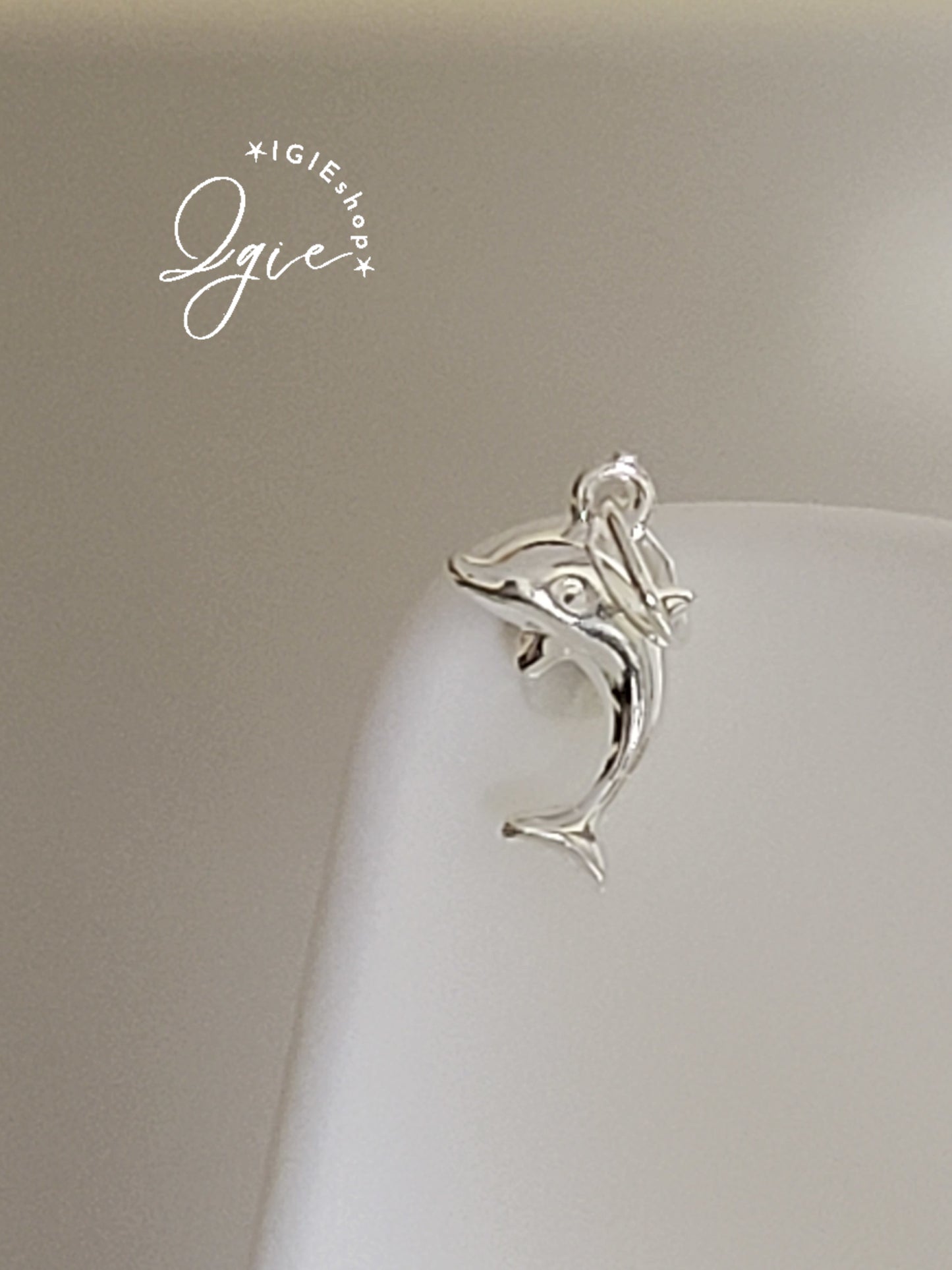 Silver necklace charm